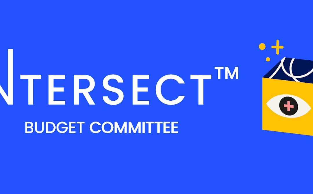 We Deliver IT Integrates Cardano Budget Process into GovTool