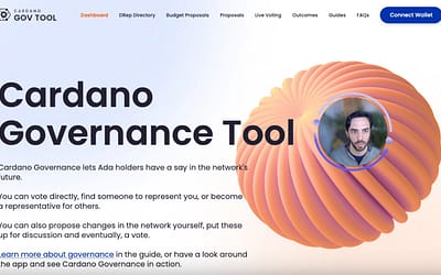 We Deliver IT Successfully Delivers Budget Proposal Integration into Cardano GovTool